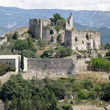 Ruines du Château dEntrechaux